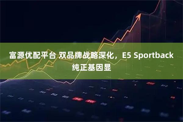 富源优配平台 双品牌战略深化,E5 Sportback纯正基因显