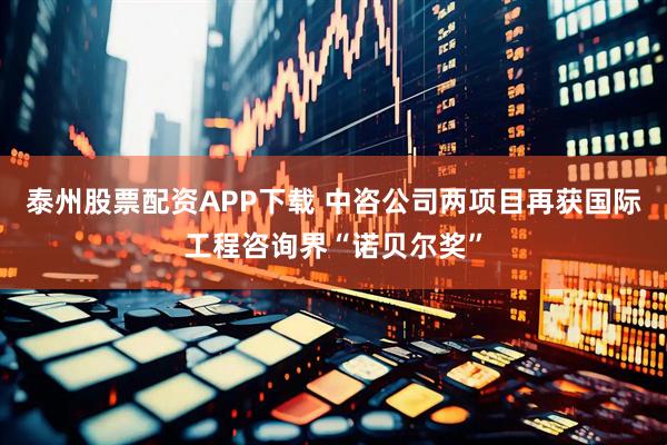 泰州股票配资APP下载 中咨公司两项目再获国际工程咨询界“诺贝尔奖”