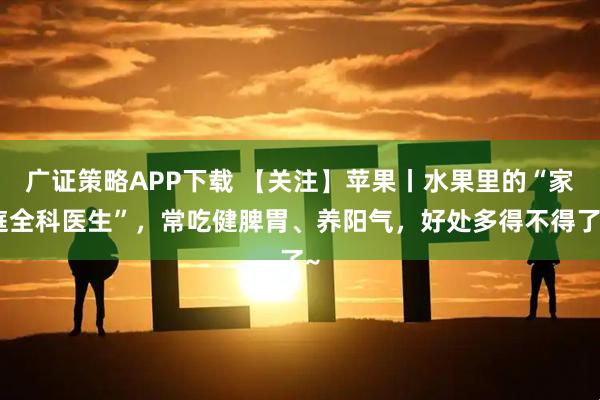 广证策略APP下载 【关注】苹果丨水果里的“家庭全科医生”，常吃健脾胃、养阳气，好处多得不得了~