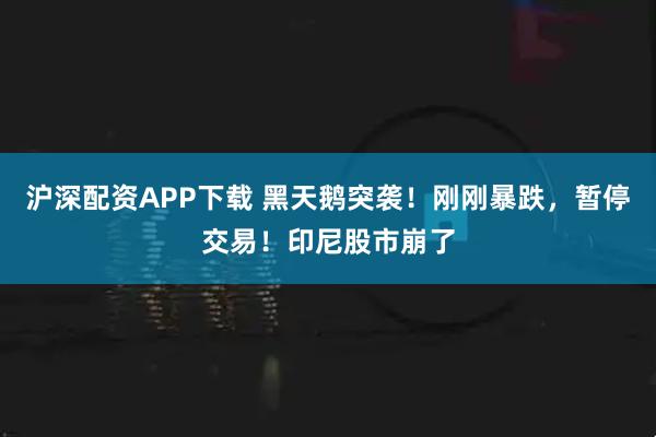 沪深配资APP下载 黑天鹅突袭！刚刚暴跌，暂停交易！印尼股市崩了